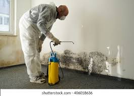 Mold Documentation for Insurance Claims in Monticello, MS